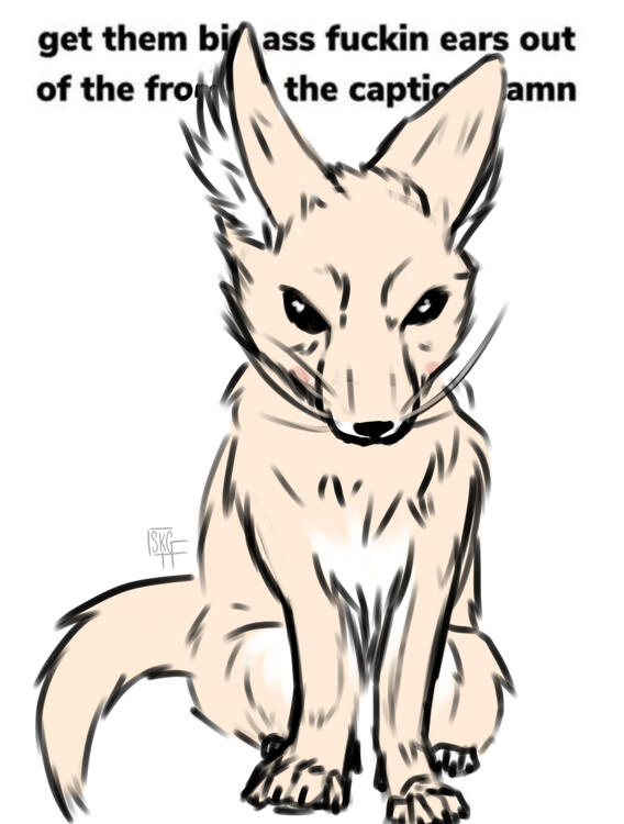 Big ass ears damn (5/18/23)-X